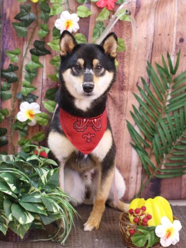 20230810ソラくん